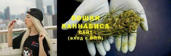 мдпв Заводоуковск