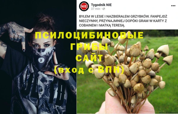 трава Заволжье