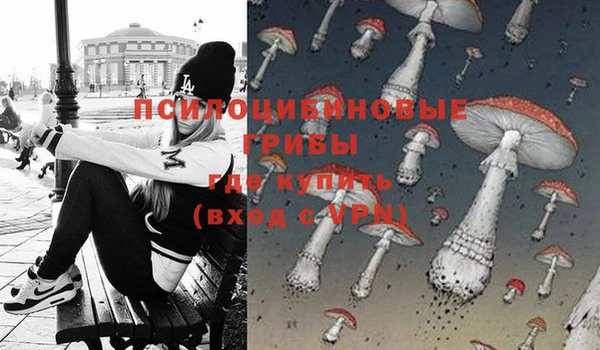 трава Усинск
