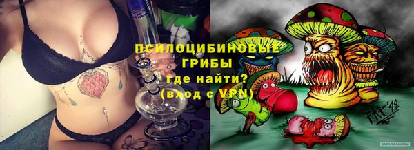 мдпв Заводоуковск