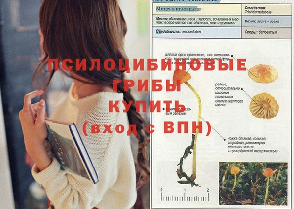 трава Заволжье