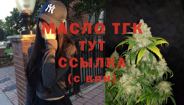 мдпв Заводоуковск