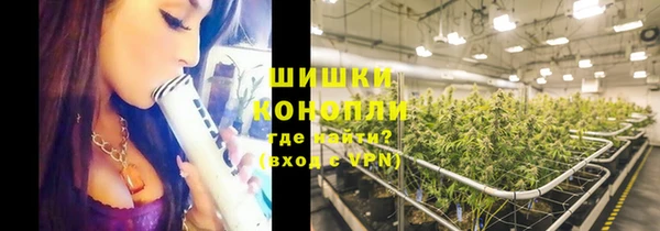 трава Заволжье