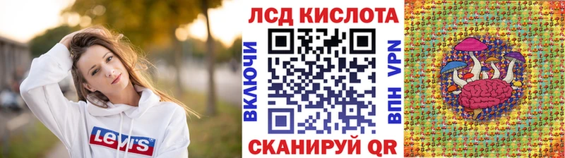 Наркотические марки 1500мкг mega вход Дубовка